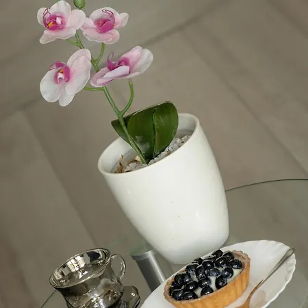 Azalia Marina Basen & Epapartamenty Dziwnów