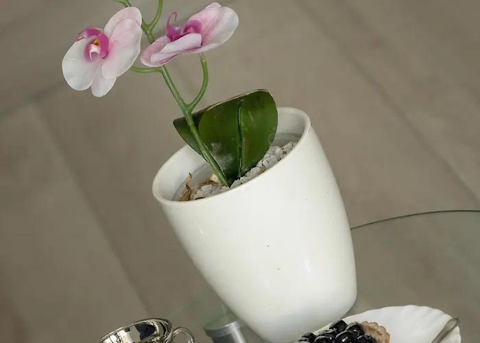 Azalia Marina Basen & Epapartamenty Dziwnów