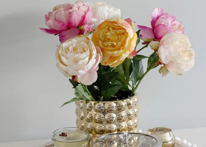 Azalia Marina Basen & Epapartamenty * Dziwnów